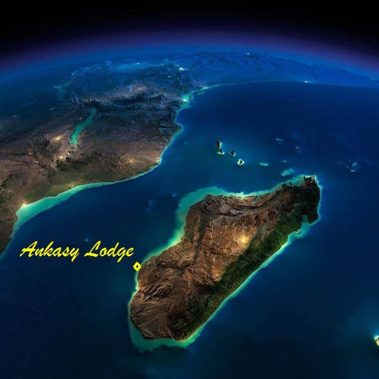 Ankasy Lodge Tsifota 外观 照片